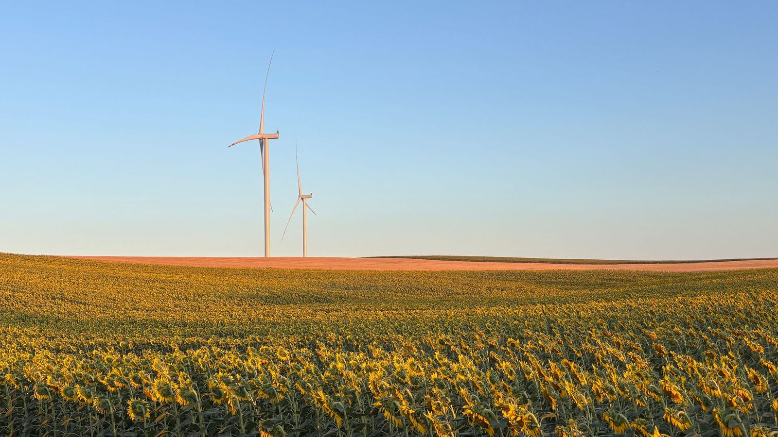 Sarıkum Wind Farm