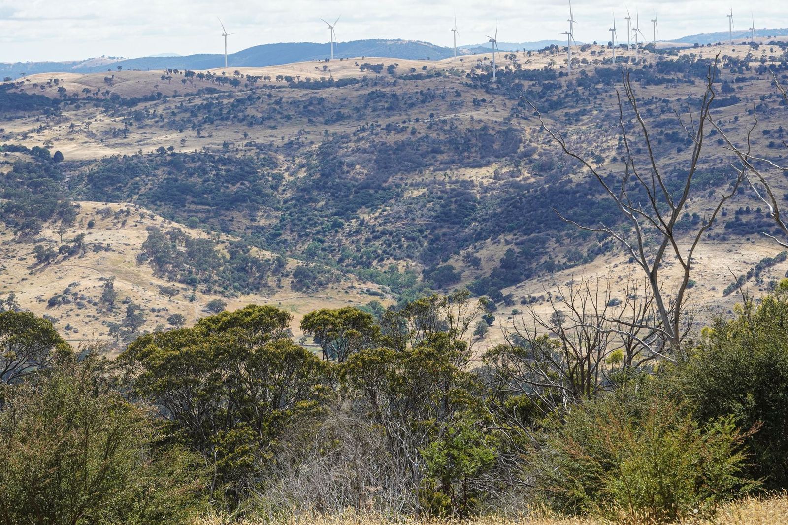 Yelkaya Wind Farm